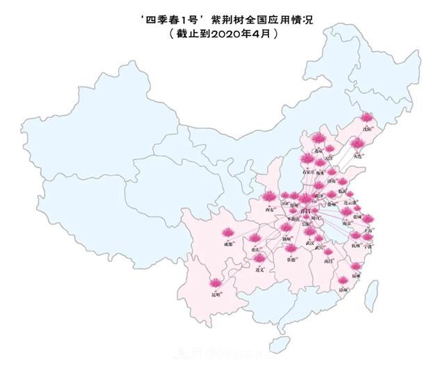 苗木產(chǎn)品的價格、價值和供需——三角關(guān)系之動態(tài)平衡(圖6)