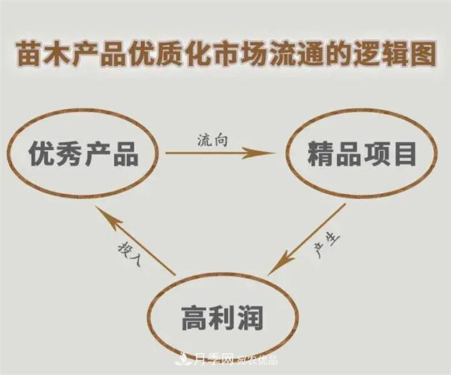 苗木產(chǎn)品的價格、價值和供需——三角關(guān)系之動態(tài)平衡(圖5)