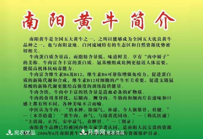 南陽黃牛，中國地理標(biāo)志保護(hù)農(nóng)產(chǎn)品(圖3)
