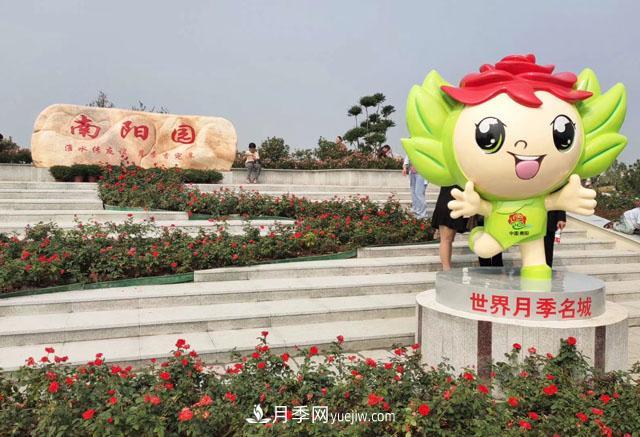 退林還耕政策下不要慌，南陽苗木人需要做好這三件事(圖1)