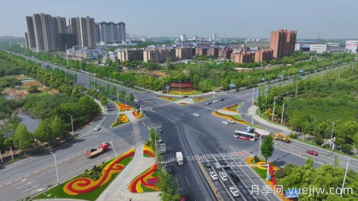 湖南寧鄉(xiāng)：萬(wàn)株月季齊綻放，扮靚城市生態(tài)新風(fēng)景(圖1)