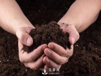 月季網(wǎng)教你搞懂有機肥與化肥究竟有什么不同