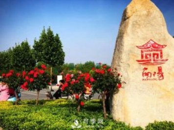 香飄神州，南陽月季努力實(shí)現(xiàn)月季產(chǎn)業(yè)轉(zhuǎn)型升級(jí)