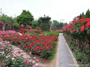 國家公園建設(shè)，將帶動這些苗木的需求市場
