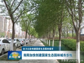已種月季103萬(wàn)多株，南陽(yáng)加快創(chuàng)建國(guó)家生態(tài)園林城市步伐