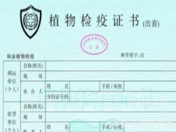 苗木三證一簽指的是什么？