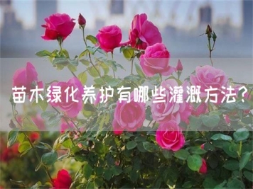 苗木綠化養(yǎng)護有哪些灌溉方法？