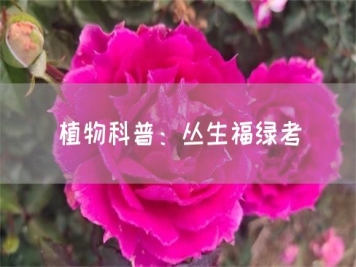 植物科普：叢生福綠考