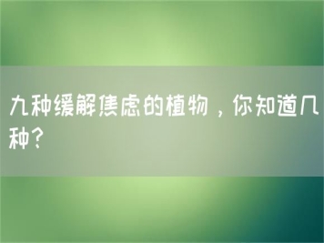 九種緩解焦慮的植物，你知道幾種？