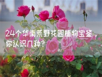 24個華南荒野花園植物寶鑒，你認(rèn)識幾種？