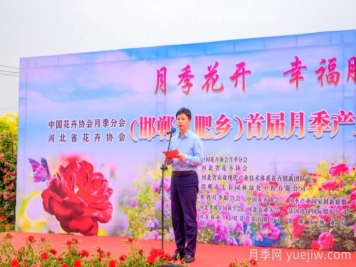 邯鄲月季：肥鄉(xiāng)區(qū)首屆月季產(chǎn)業(yè)高質(zhì)量發(fā)展大會舉辦