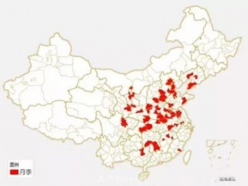 中國(guó)各城市市花大集合！月季是51個(gè)城市市花具首位