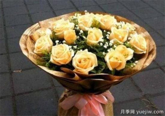 香檳玫瑰怎么養(yǎng) 香檳玫瑰的養(yǎng)殖方法和注意事項(圖1)